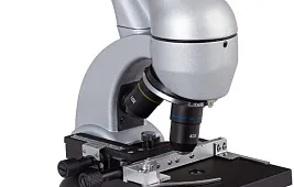 Зубы под микроскопом: фото и особенности наблюдения