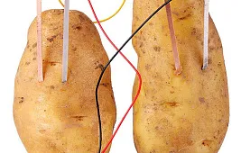 Картофельные часы: особенности и принцип работы