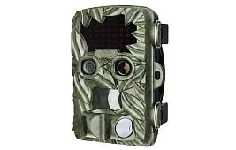 Просмотр фотоловушки: как посмотреть фото на устройствах разных типов