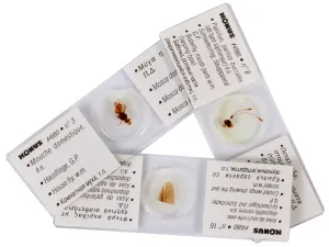 Набор микропрепаратов Konus 25: «Насекомые», изображение 5