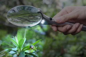 Лупа Levenhuk Zeno 50, 2,2/4,4x, 88/21 мм, 2 LED, изображение 7