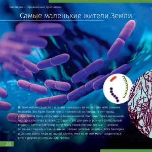 Книга знаний в 2 томах. «Космос. Микромир», изображение 5